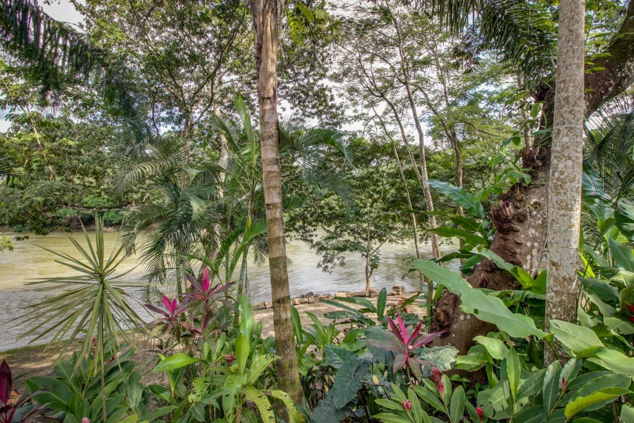 Mahogany Hall 圣伊格纳西奥 外观 照片